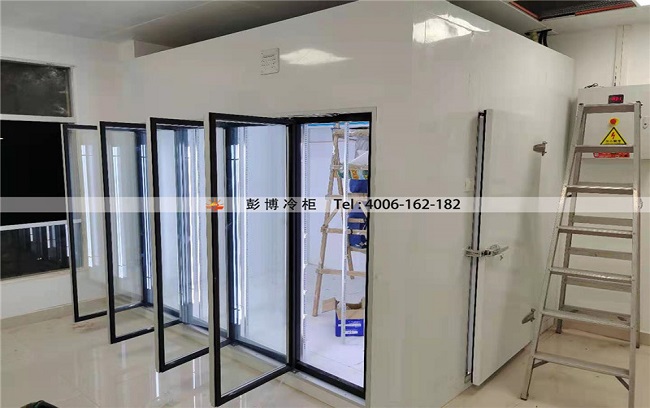 东莞市陈屋新村坊(陈屋社区卫生服务站) 后补式疫苗冷库
