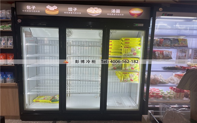 深圳市福田区梅林街道东二路美宜多（梅东店）立式冷冻柜